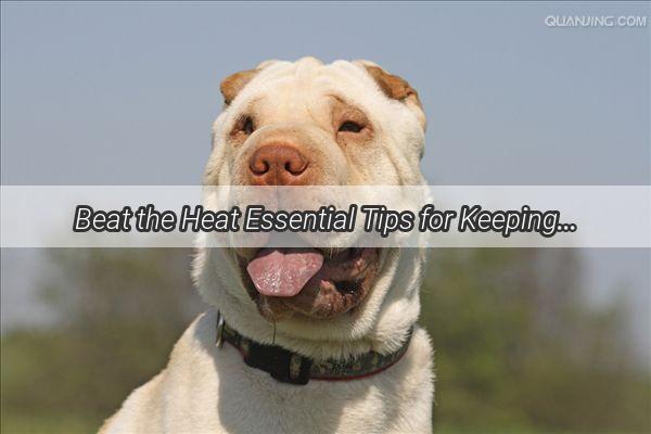 Beat the Heat Essential Tips for Keeping Your Pup Cool This Summer